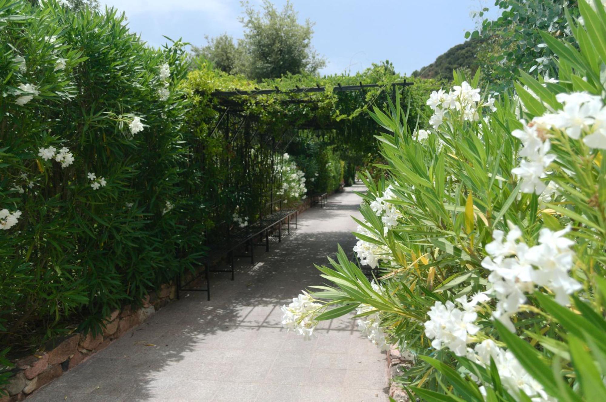 Domaine Codaleone Serriera  Habitación foto